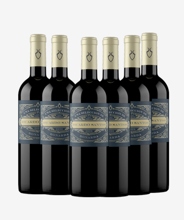 VINO TINTO RICARDO SANTOS BONARDA CAJA X6